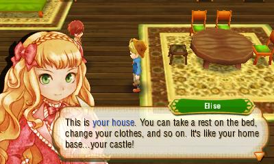 Story of Seasons house.jpg